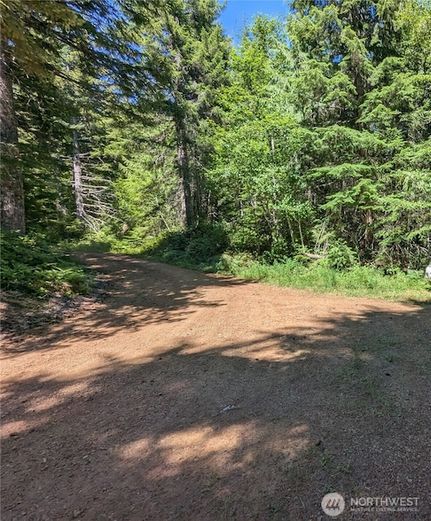 Undeveloped Land for sale in Mason County, Washington
