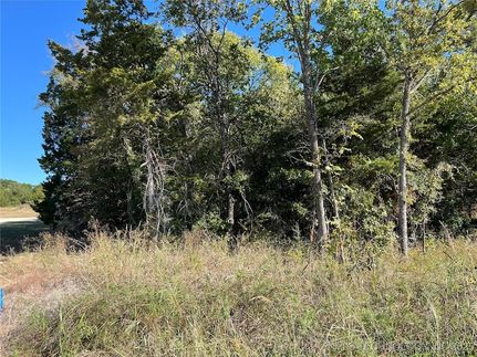 Lakefront Property for sale in Marshall County, Oklahoma