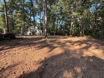 Land for sale in Sabine County, Texas