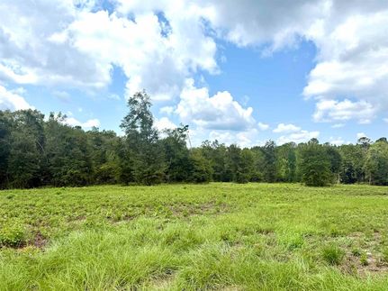 Recreational Property for sale in Covington County, Alabama