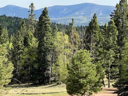 Land for sale in Colfax County, New Mexico