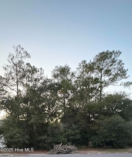 Farm and Ranch for sale in Brunswick County, North Carolina