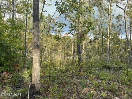 Land for sale in Bledsoe County, Tennessee