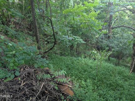 Land for sale in Sullivan County, Tennessee