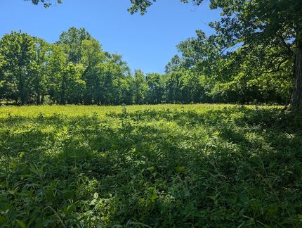 Undeveloped Land for sale in Bedford County, Tennessee