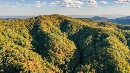 Recreational Property for sale in Caldwell County, North Carolina