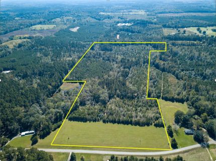 Undeveloped Land for sale in Newton County, Mississippi