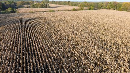 Land for sale in Davis County, Iowa