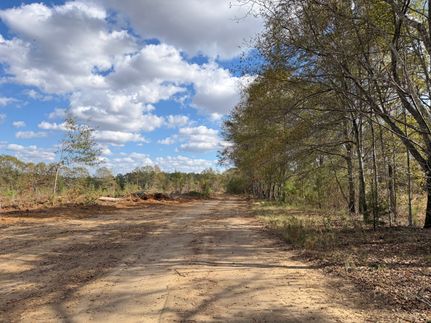 Land for sale in Dooly County, Georgia