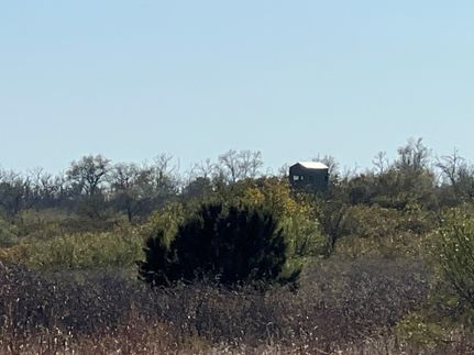 Land for sale in Cottle County, Texas