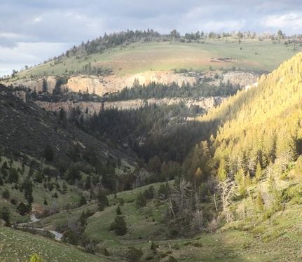 Land for sale in Park County, Wyoming