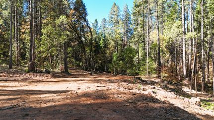 Farm and Ranch for sale in Nevada County, California