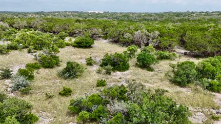 Farm and Ranch for sale in Edwards County, Texas