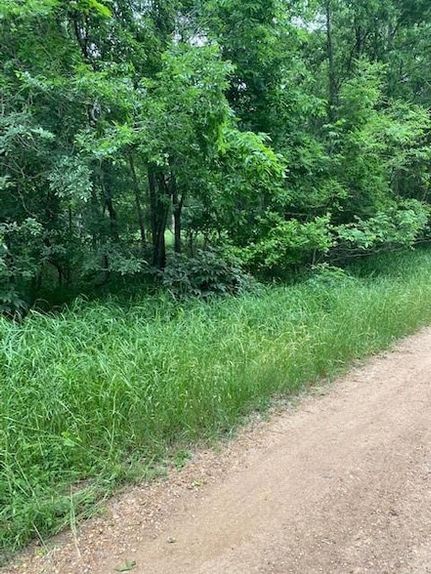 Land for sale in Bastrop County, Texas