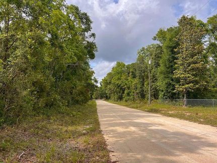 Timberland Property for sale in Dixie County, Florida