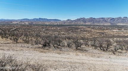 Undeveloped Land for sale in Santa Cruz County, Arizona