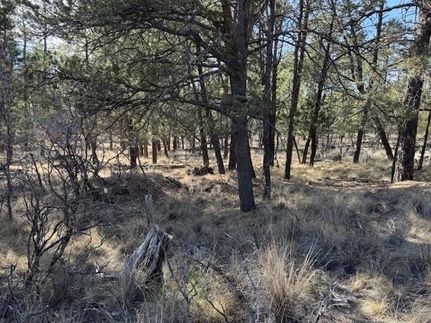 Land for sale in Otero County, New Mexico
