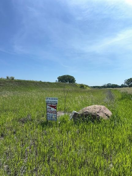 Undeveloped Land for sale in Mills County, Iowa