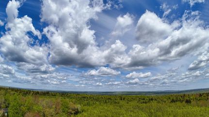 Land for sale in Washington County, Maine