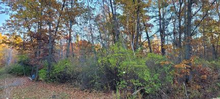 Timberland Property for sale in Mason County, Michigan