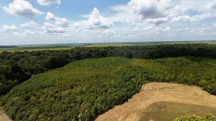 Land for sale in Clay County, Arkansas