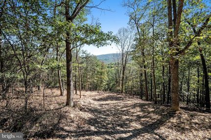 Undeveloped Land for sale in Frederick County, Virginia