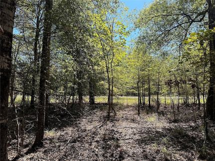 Farm and Ranch for sale in San Jacinto County, Texas