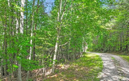 Land for sale in Fannin County, Georgia