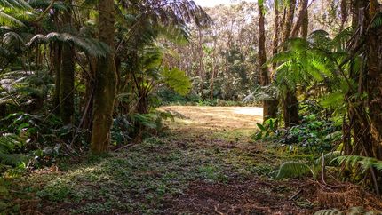 Farm and Ranch for sale in Hawaii County, Hawaii