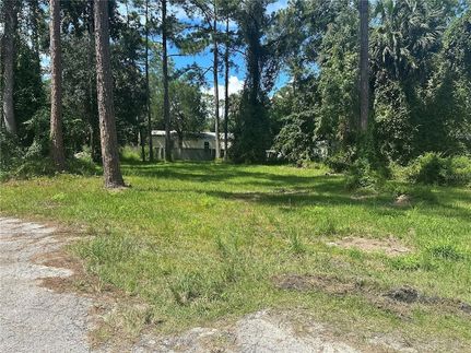 Farm and Ranch for sale in Lake County, Florida