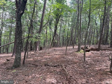 Farm and Ranch for sale in Shenandoah County, Virginia