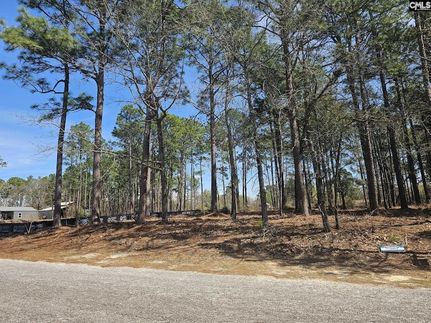 Land for sale in Lexington County, South Carolina