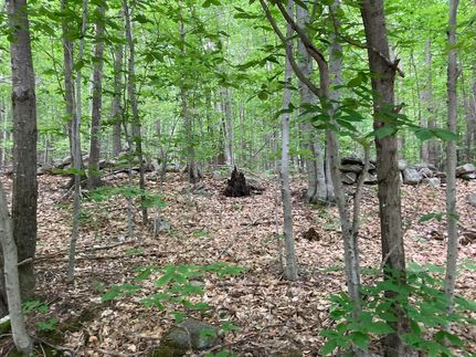 Land for sale in Oxford County, Maine