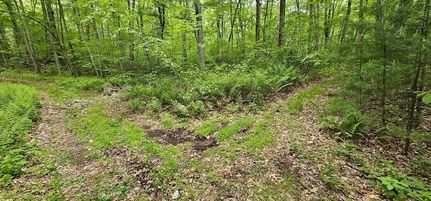 Timberland Property for sale in Worcester County, Massachusetts