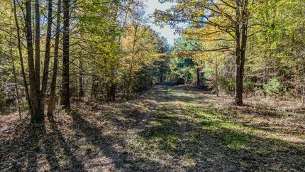 Land for sale in Holmes County, Mississippi