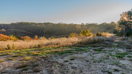 Land for sale in Attala County, Mississippi