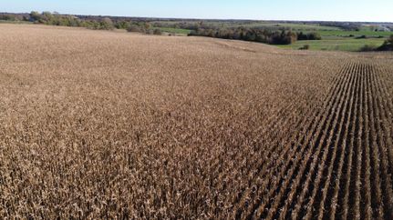 Hunting Property for sale in Davis County, Iowa