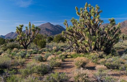 Recreational Property for sale in Mohave County, Arizona