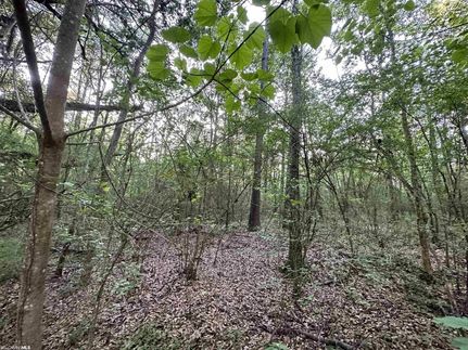 Timberland Property for sale in Mobile County, Alabama