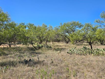 Land for sale in Callahan County, Texas