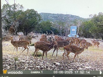 Farm and Ranch for sale in Edwards County, Texas