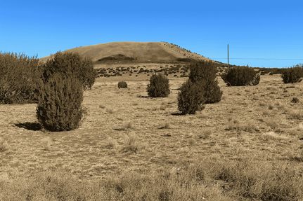 Timberland Property for sale in Apache County, Arizona