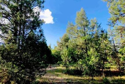 Homesite for sale in Archuleta County, Colorado