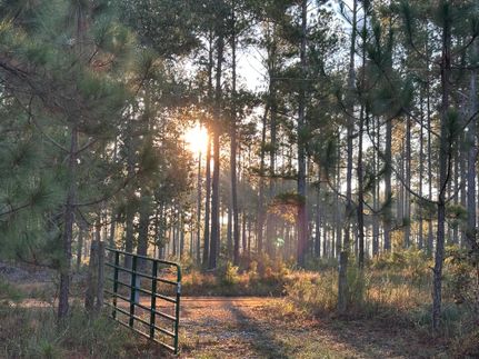 Land for sale in Emanuel County, Georgia