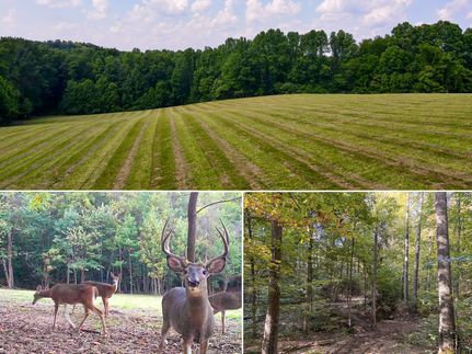 Farm and Ranch for sale in Vinton County, Ohio