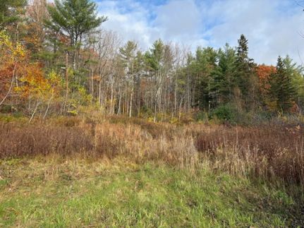 Land for sale in Clinton County, New York