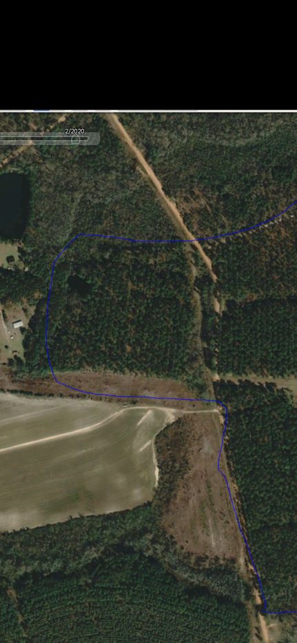 Land for sale in Bulloch County, Georgia