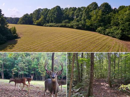 Homesite for sale in Vinton County, Ohio