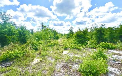 Land for sale in Lafayette County, Florida
