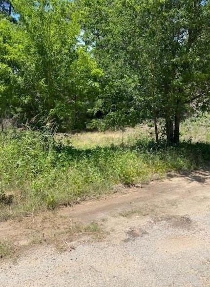 Land for sale in Bastrop County, Texas